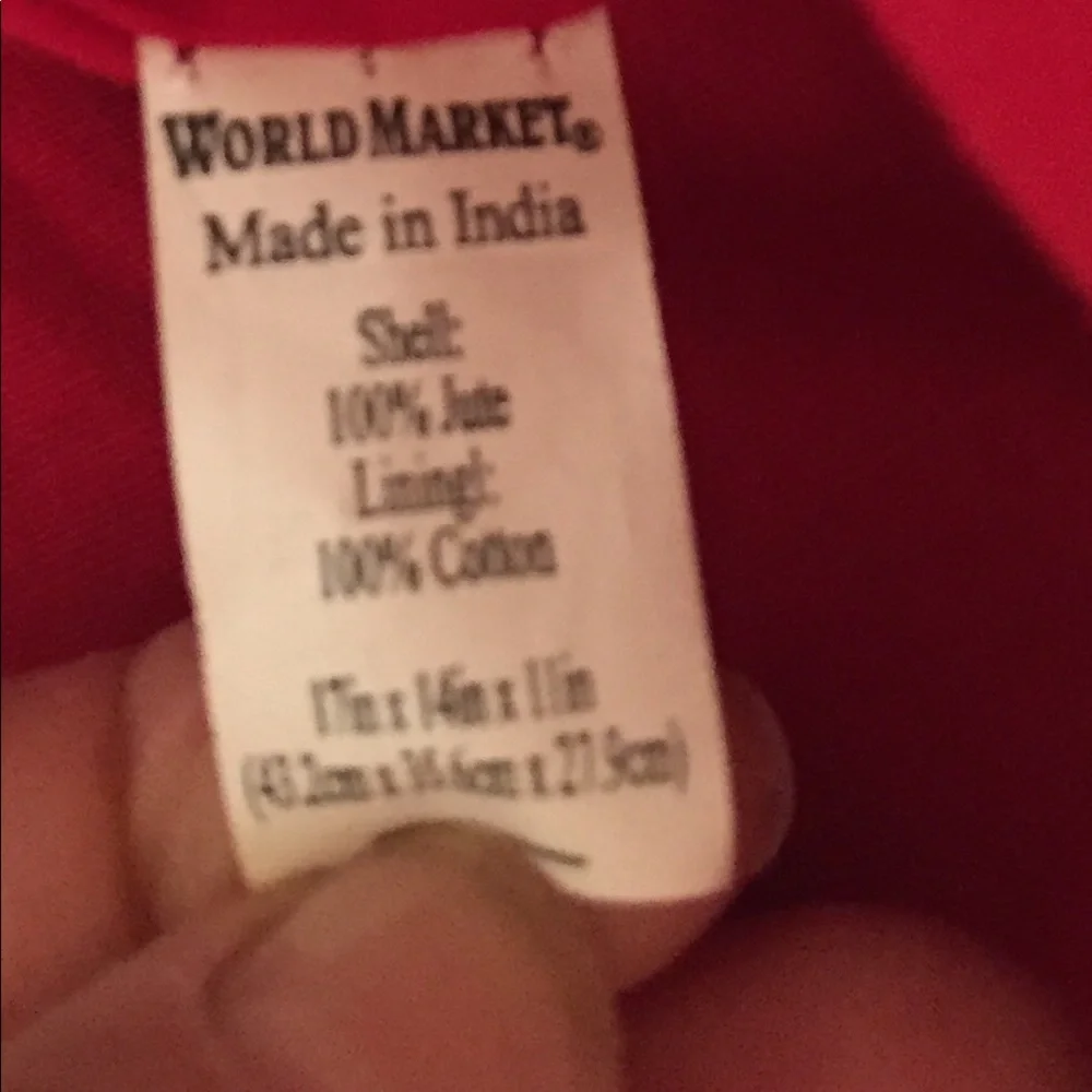 Cost Plus World Market this bag